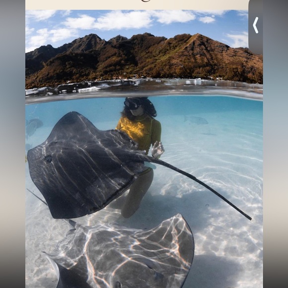 Abysse Pam Rash-Guard Shell ✨ NEW ✨ 🏄🏻‍♀️🏄🏻‍♀️ - Picture 7 of 10